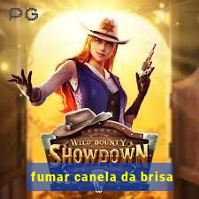 fumar canela da brisa